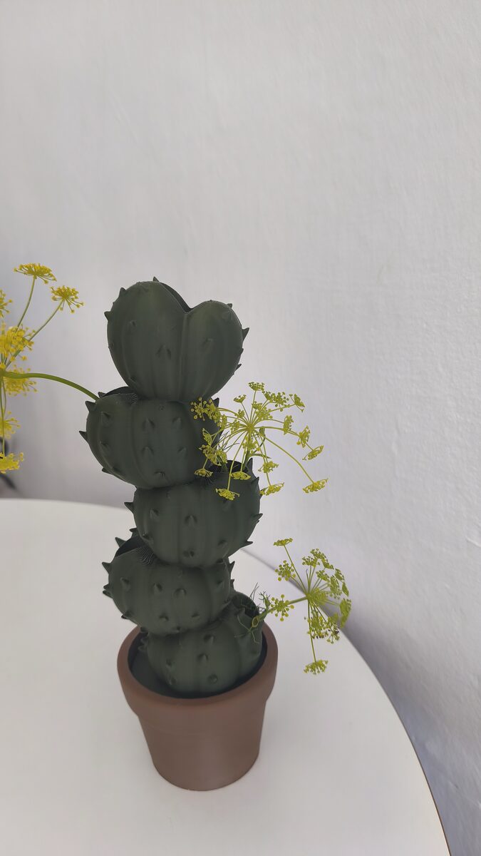 Cactus Vase - thumbnail 4