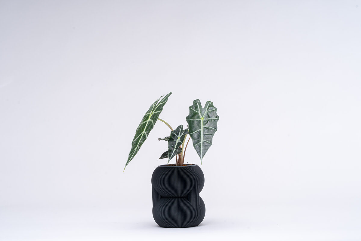 83 Vase - thumbnail 3