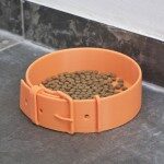Amigo Pet Bowl - thumbnail 5