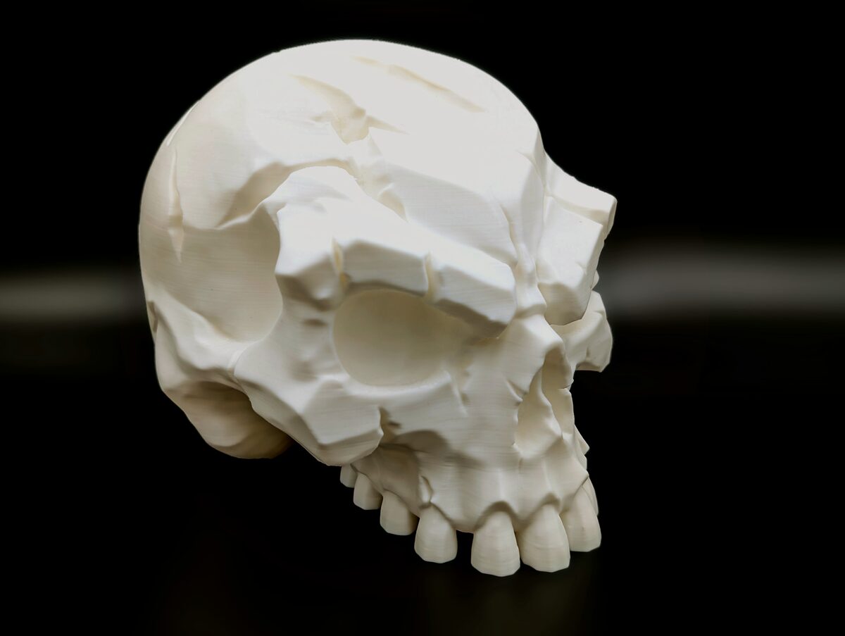 Battle-Scarred Skull - Dark Decor - thumbnail 4