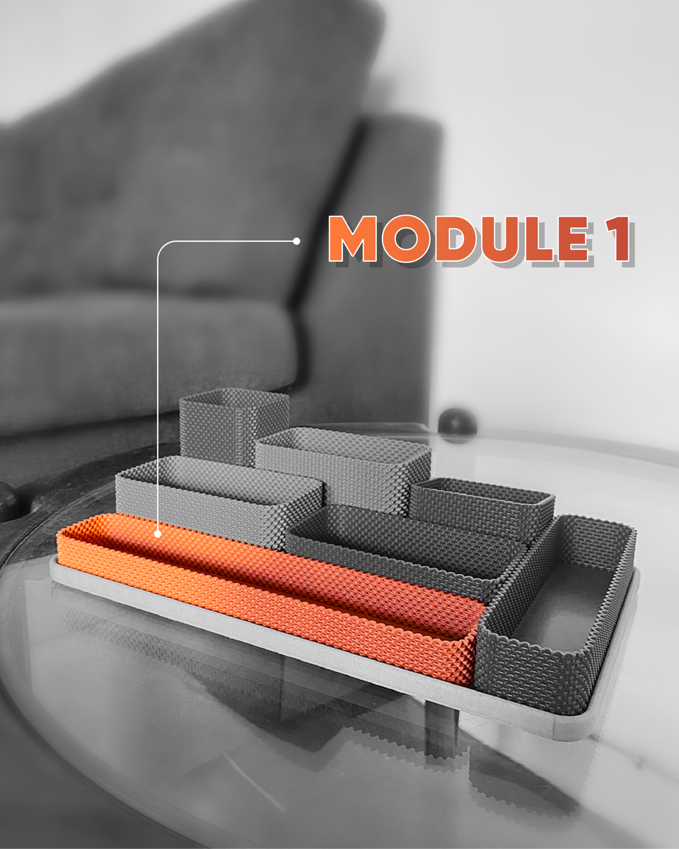 MODULE1
