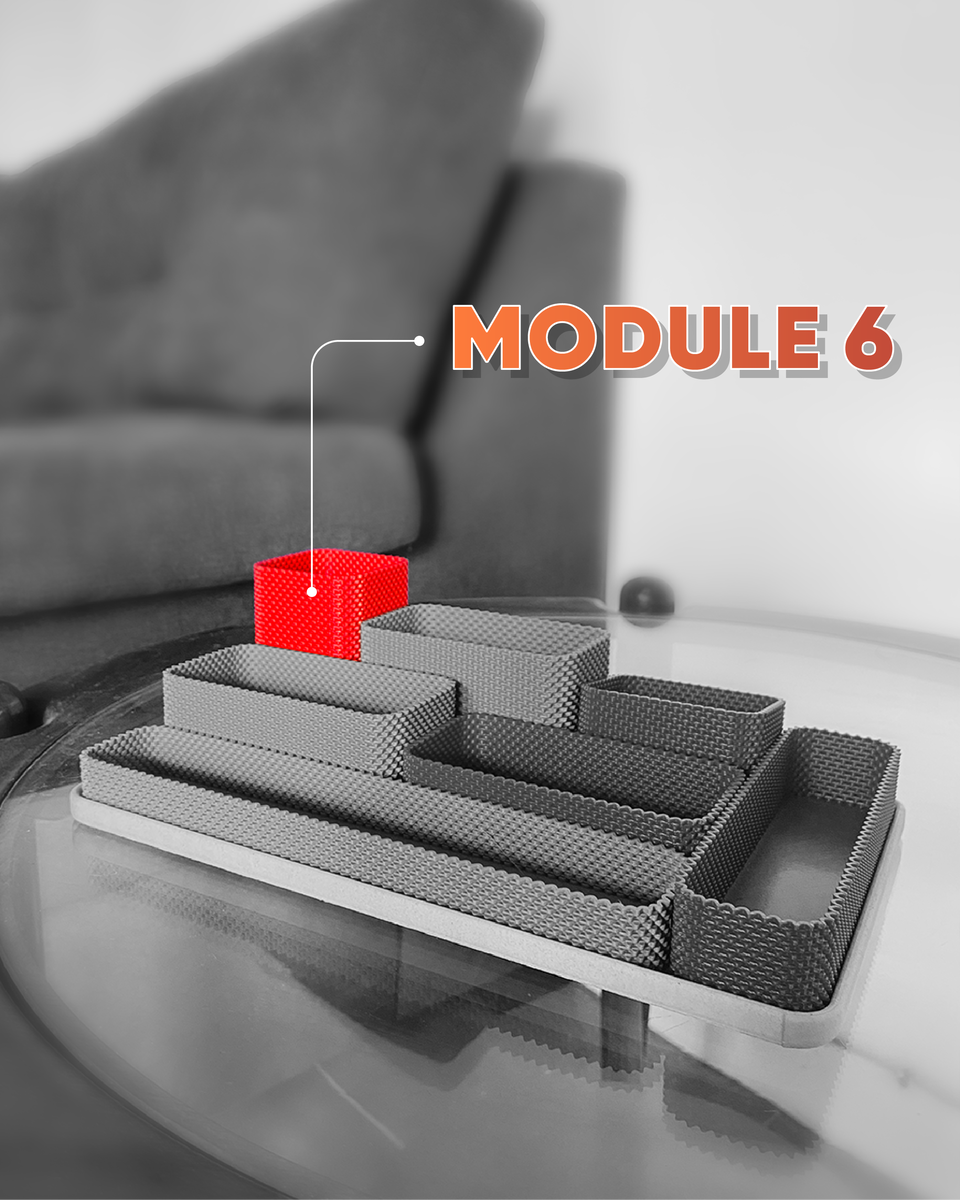 MODULE6