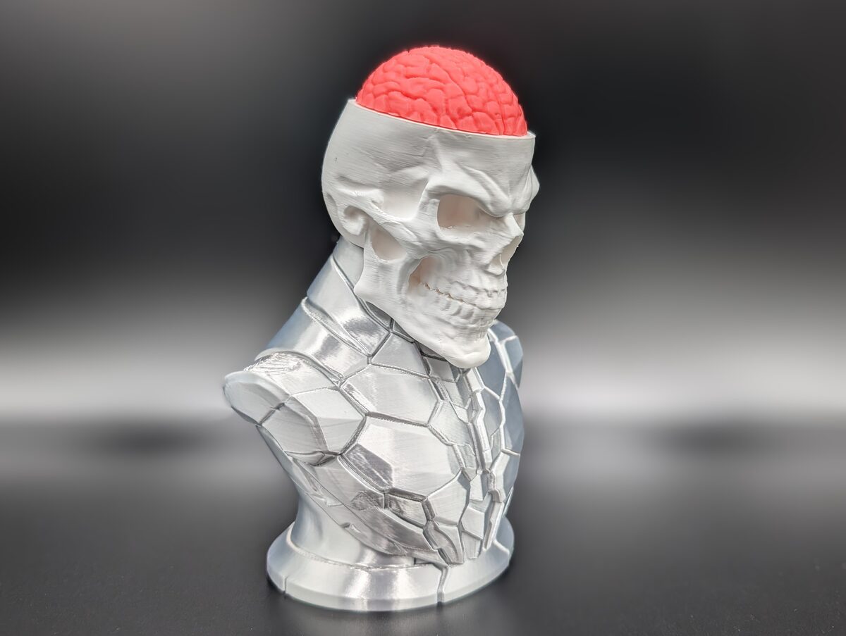 Craniumortis - No AMS / Multi-Part Bust - thumbnail 4