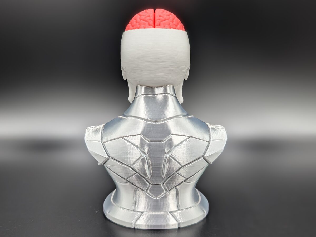 Craniumortis - No AMS / Multi-Part Bust - thumbnail 6