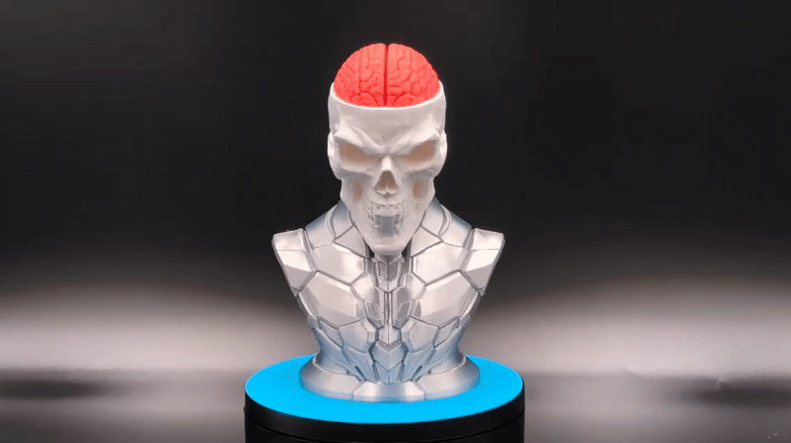 Craniumortis - No AMS / Multi-Part Bust - thumbnail 7