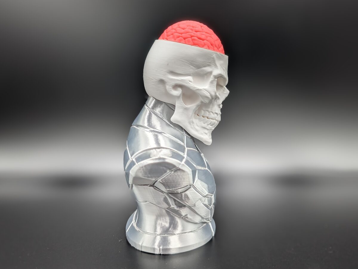 Craniumortis - No AMS / Multi-Part Bust - thumbnail 5