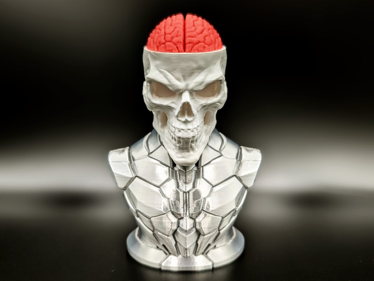 Craniumortis - No AMS / Multi-Part Bust - thumbnail 3