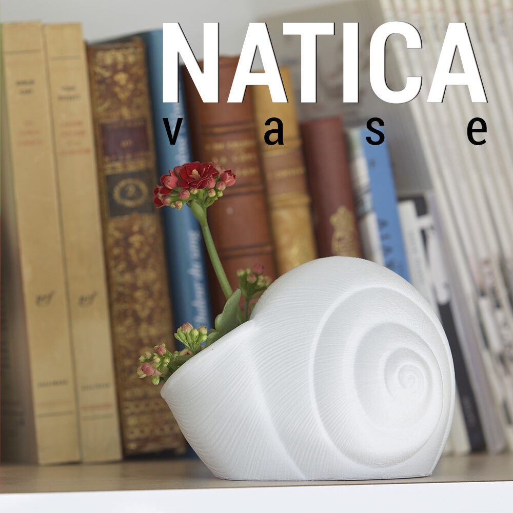 natica-vase(1)