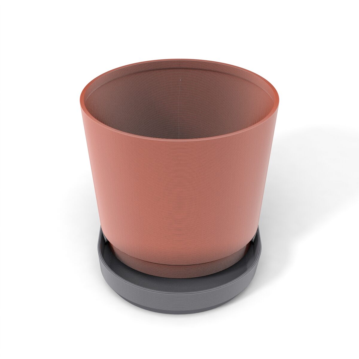 PLANTER03-02-1